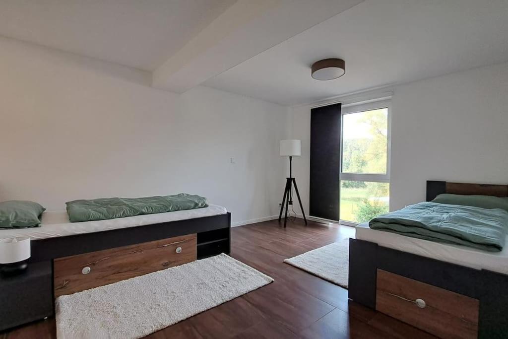 Ferienwohnung Im Thueringer Wald 바드리벤쉬타인 외부 사진